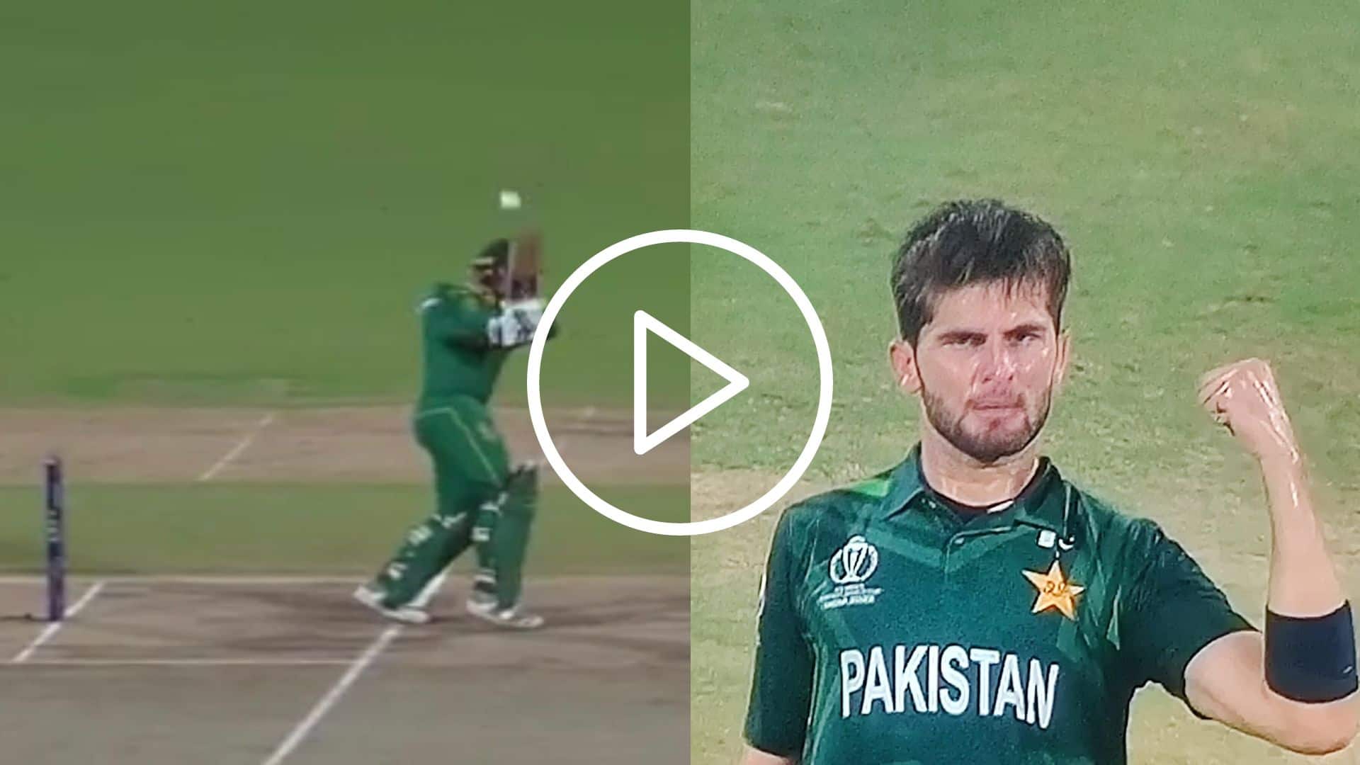 [Watch] Shaheen Afridi Draws First Blood With 'Big Wicket' Of Quinton De Kock